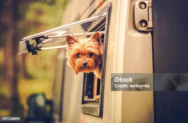 Photo libre de droit de Rv Voyage Avec Chien banque d'images et plus d'images libres de droit de Camping-car - Camping-car, Chien, Camping