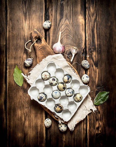 quail eggs in a box with laurel leaves. - chicken egg audio imagens e fotografias de stock