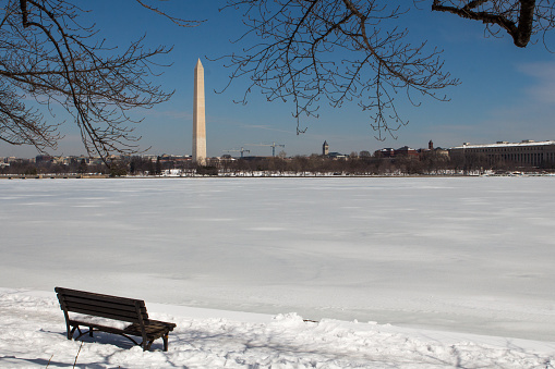 View of Washington Monument framed by cherry tree branches in winter.