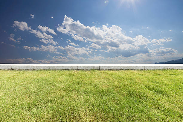istock landscape of hill and sky from empty green meadow 597239772
