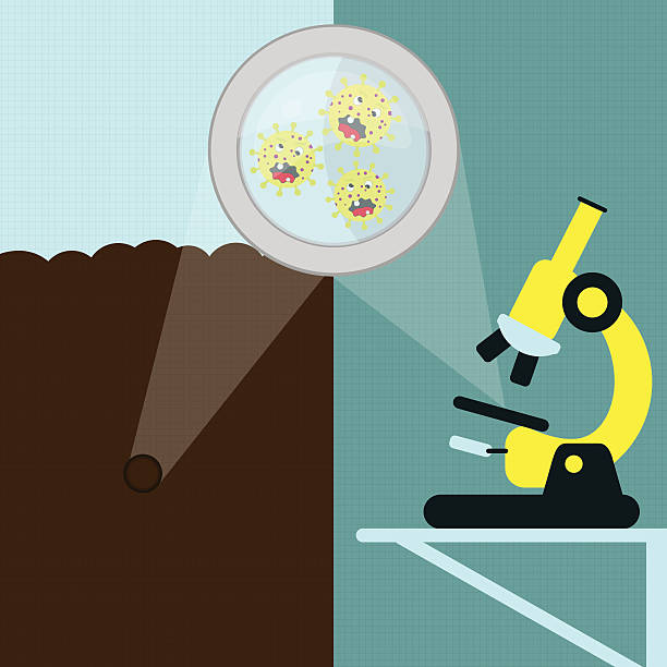 70 Petri Dish Bacteria Cartoons Illustrations & Clip Art - iStock