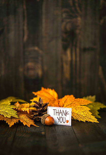 istock Fall leaves background with thank you message 597246744