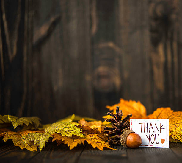 istock Fall leaves background with thank you message 597246772