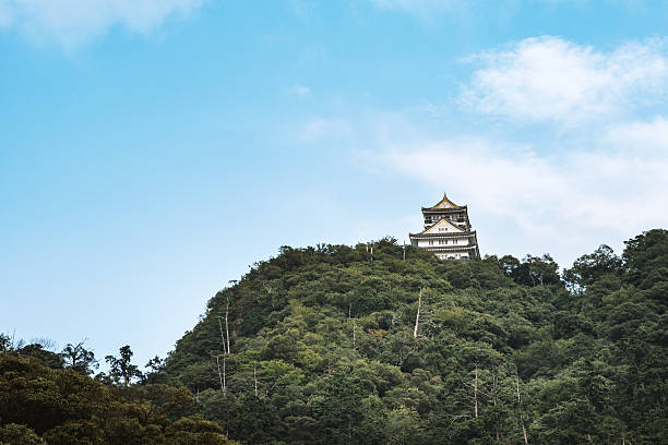 The Gifu castle which rises on the mountaintop Gifu city, Japan - August 17, 2016: Scenery of the Gifu castle in Gifu, Japan gifu prefecture stock pictures, royalty-free photos & images