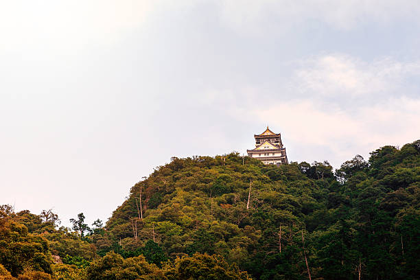 40+ Castello Di Gifu Foto stock, immagini e fotografie royaltyfree