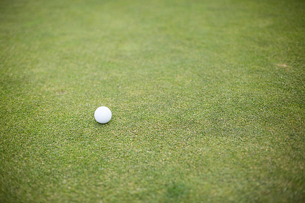 istock Golf ball on the green 597247292