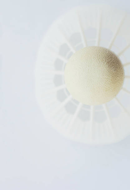 istock toilet papers on white background 597251674