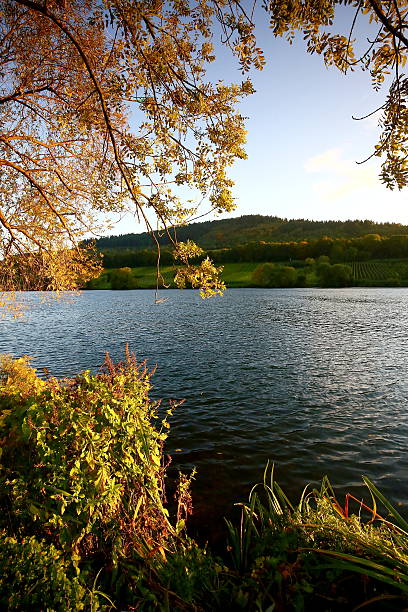 istock autumn on river moselle 597252604