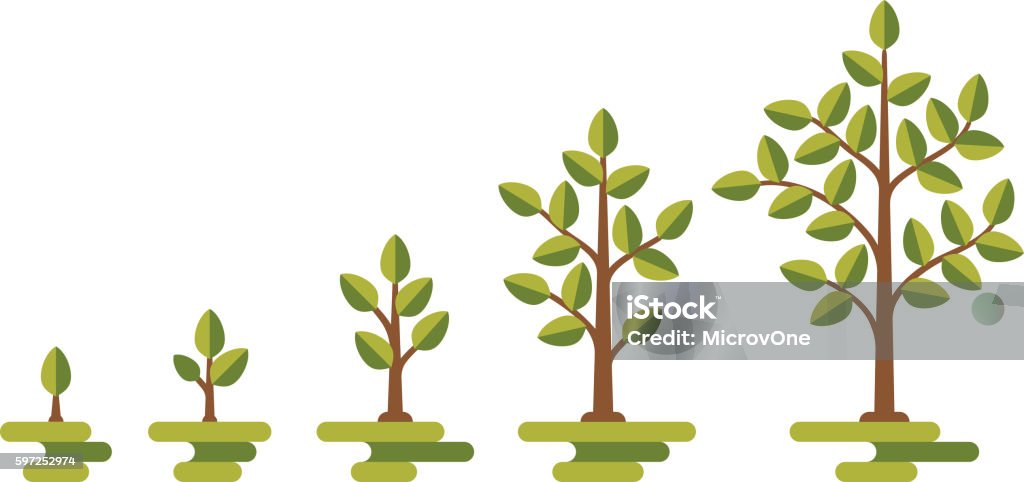 Growing Tree Graph Green Tree Growth Vector Diagram Stock Illustration - Download Image ...