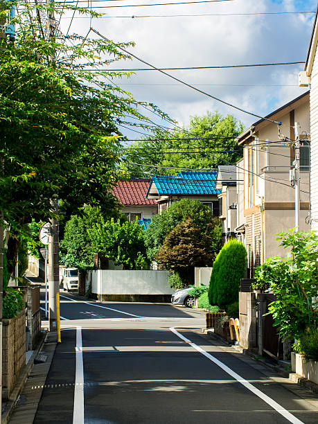 istock japan street lined with houses 597253094
