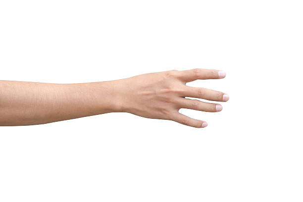 right back hand of a man - human hand reaching human arm gripping imagens e fotografias de stock