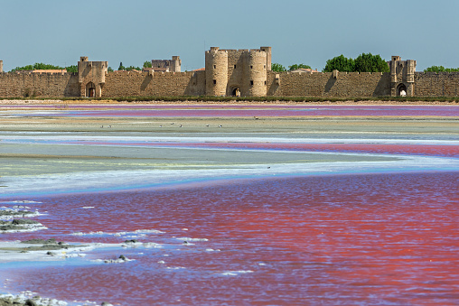 The salt pans of Aigues Mortes, in Provence, are an incredible sight. They are called 