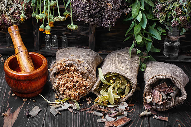 traditional medicinal herb stock photo