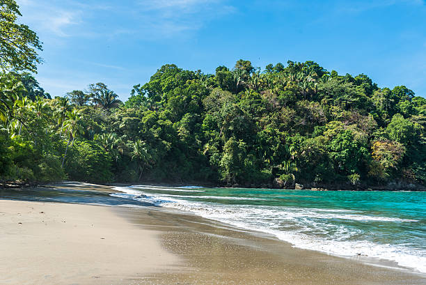istock Playa Espadilla at Manuel Antonio Park - Costa Rica 597257016