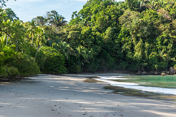istock Playa Espadilla at Manuel Antonio Park - Costa Rica 597257362