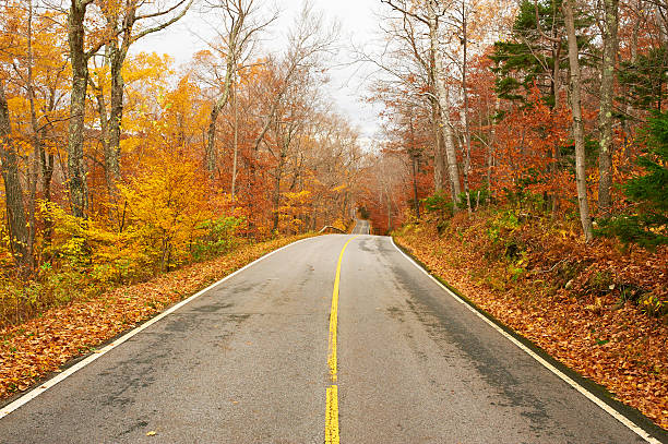 istock Autumn scene with road 597257470