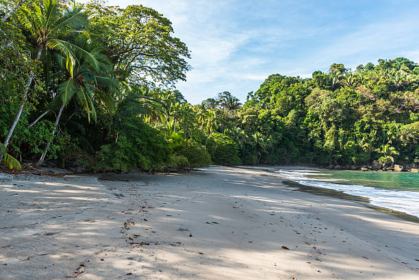 istock Playa Espadilla at Manuel Antonio Park - Costa Rica 597257644