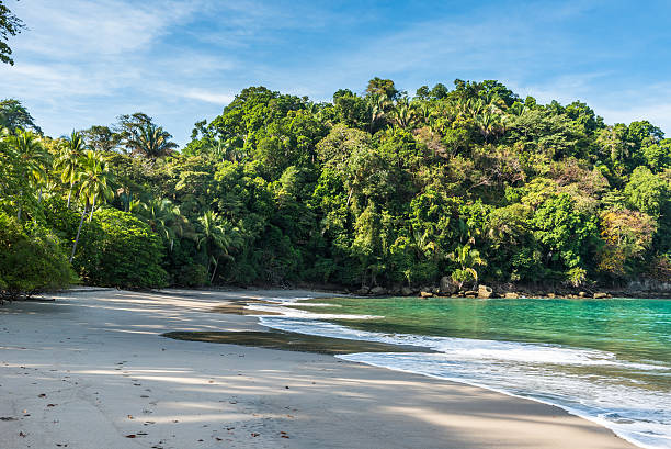 istock Playa Espadilla at Manuel Antonio Park - Costa Rica 597258248