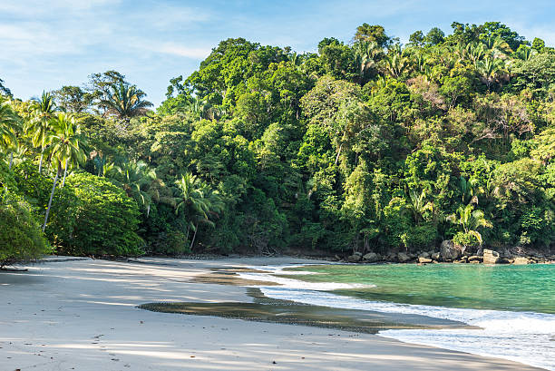 istock Playa Espadilla at Manuel Antonio Park - Costa Rica 597258658