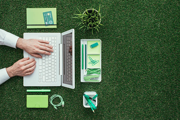 green business - laptop computer grass nature - fotografias e filmes do acervo