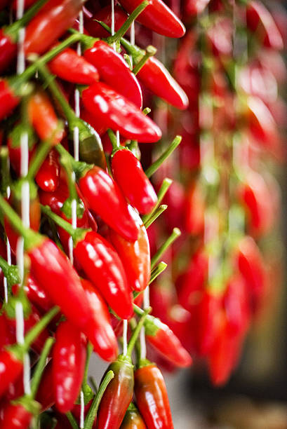 Chili peppers Chili peppers hanging apo island stock pictures, royalty-free photos & images