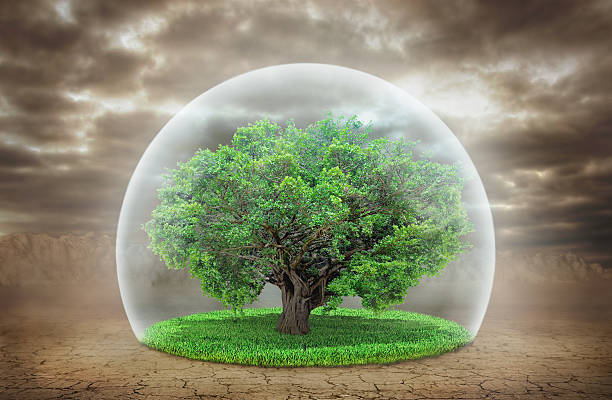 istock Concept of life. 597260330