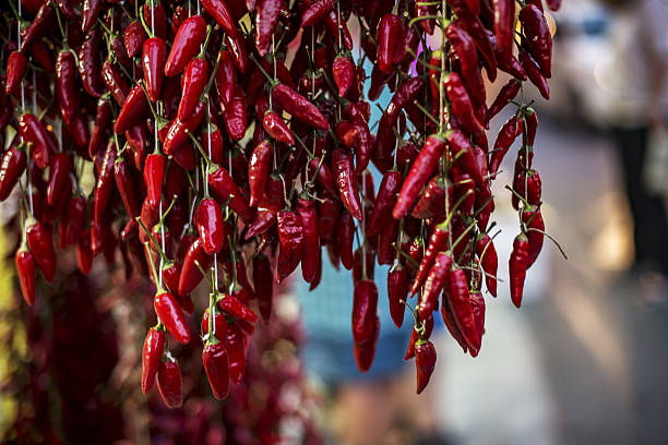 chili peppers  - apo island fotografías e imágenes de stock