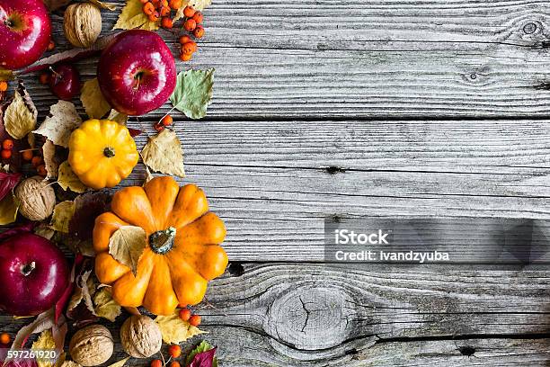 Photo libre de droit de Fond Dautomne banque d'images et plus d'images libres de droit de Automne - Automne, Culture agricole, Citrouille