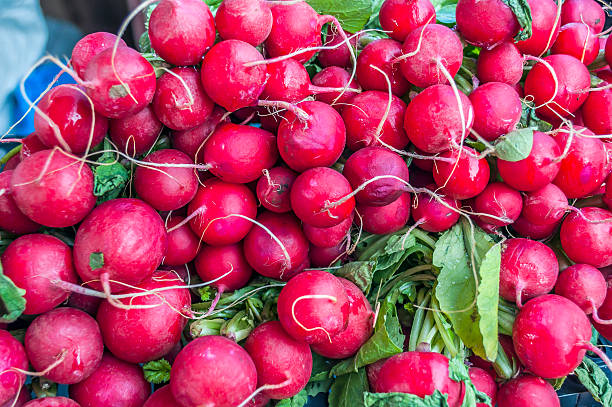 Many fresh radishes on weekly market