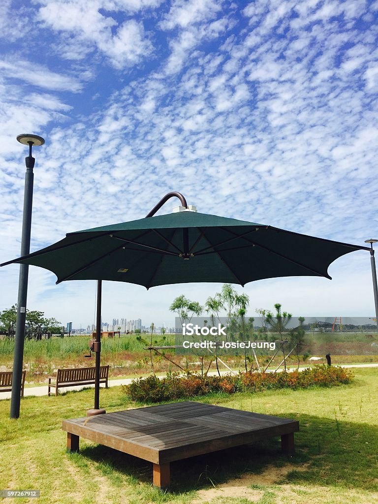 parasol vert au parc - Photo de Activités de week-end libre de droits