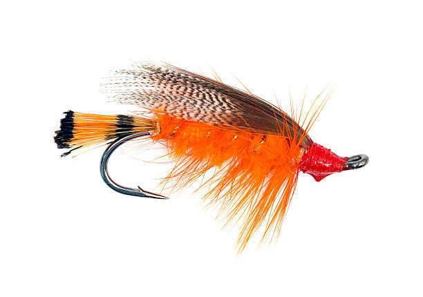 Fly fishing hook Fluffy fly fishing hook isolated on white fishing bait photos stock pictures, royalty-free photos & images