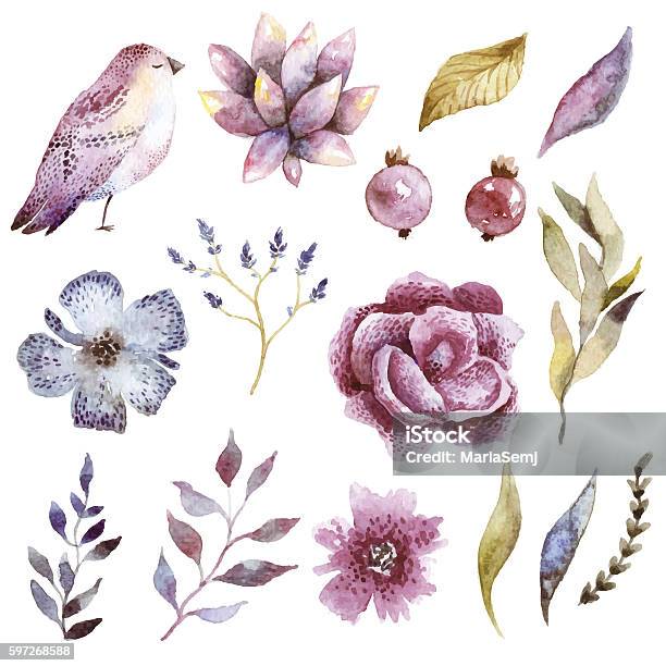 Floral Watercolor Set With Bird Stock Illustration - Download Image Now - Watercolor Painting, Bird, Animal