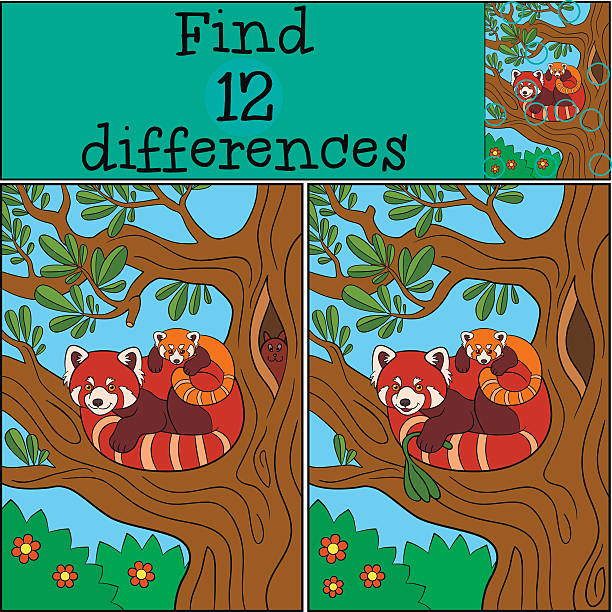 illustrations, cliparts, dessins animés et icônes de jeu éducatif: trouver des différences. mère panda roux avec son ba - young animal baby panda red