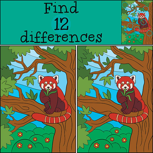 illustrations, cliparts, dessins animés et icônes de jeu éducatif: trouver des différences. le petit panda roux mignon mange. - young animal baby panda red