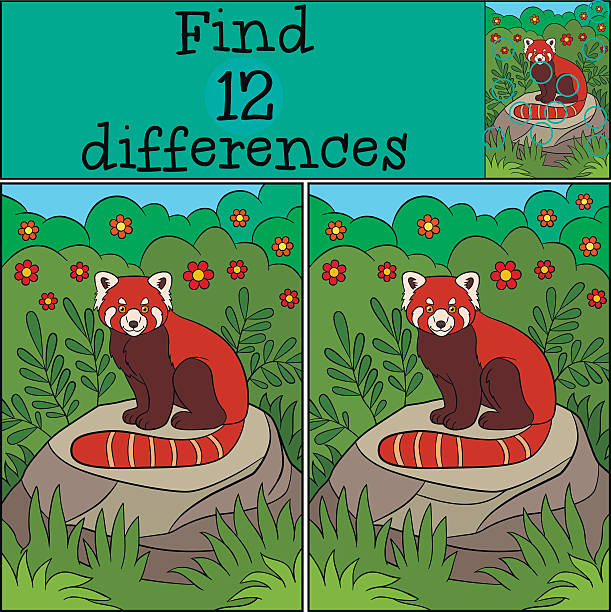 illustrations, cliparts, dessins animés et icônes de jeu éducatif: trouver des différences. petit panda roux mignon. - young animal baby panda red