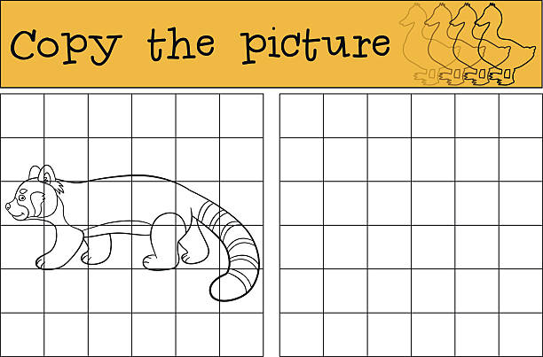 illustrations, cliparts, dessins animés et icônes de jeu éducatif: copiez l’image. petites promenades mignonnes de panda roux. - young animal baby panda red