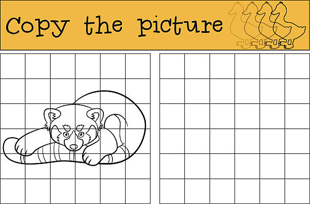 illustrations, cliparts, dessins animés et icônes de jeu éducatif: copiez l’image. petit panda roux mignon. - young animal baby panda red