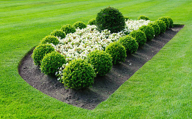 Interesting idea decoration garden with plants and flowers
