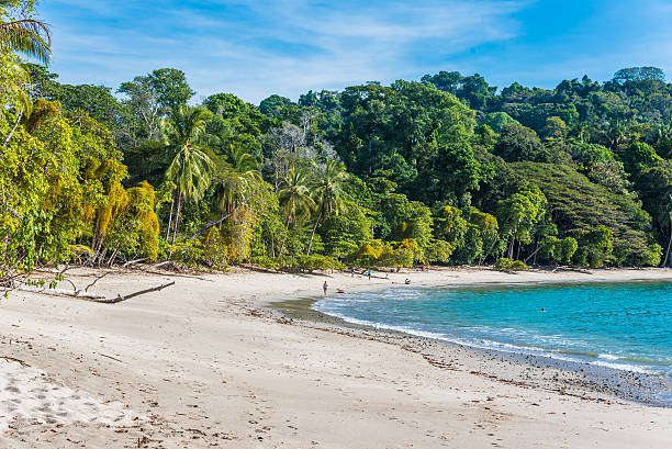 istock Manuel Antonio, Costa Rica - beautiful tropical beach 597270878
