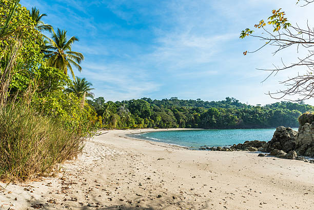 istock Manuel Antonio, Costa Rica - beautiful tropical beach 597271854