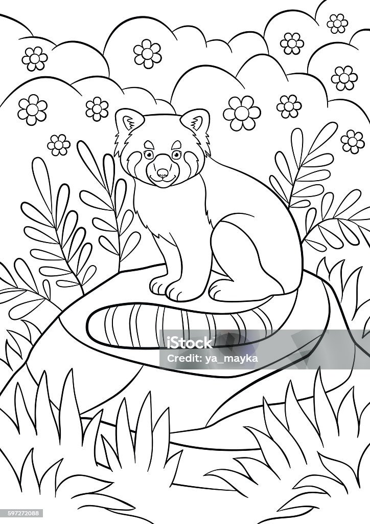 Coloring pages. Little cute red panda smiles. Coloring pages. Little cute red panda sits on the stone in the forest and smiles. Activity stock vector