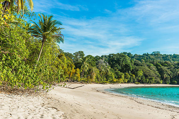 istock Manuel Antonio, Costa Rica - beautiful tropical beach 597272252