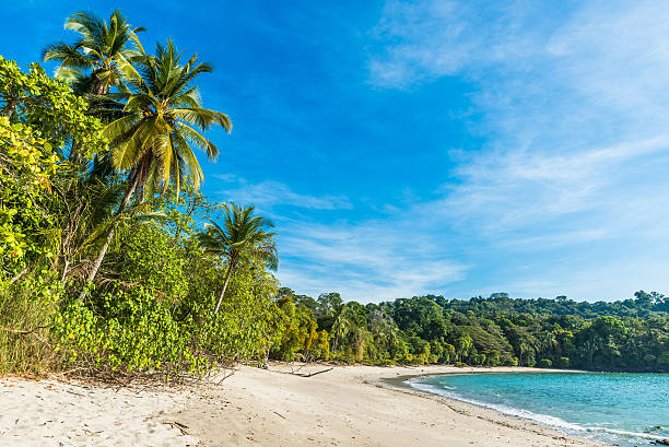 istock Manuel Antonio, Costa Rica - beautiful tropical beach 597272734