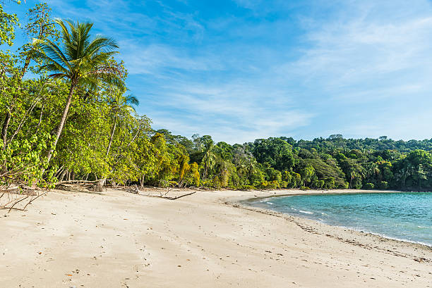 istock Manuel Antonio, Costa Rica - beautiful tropical beach 597273276
