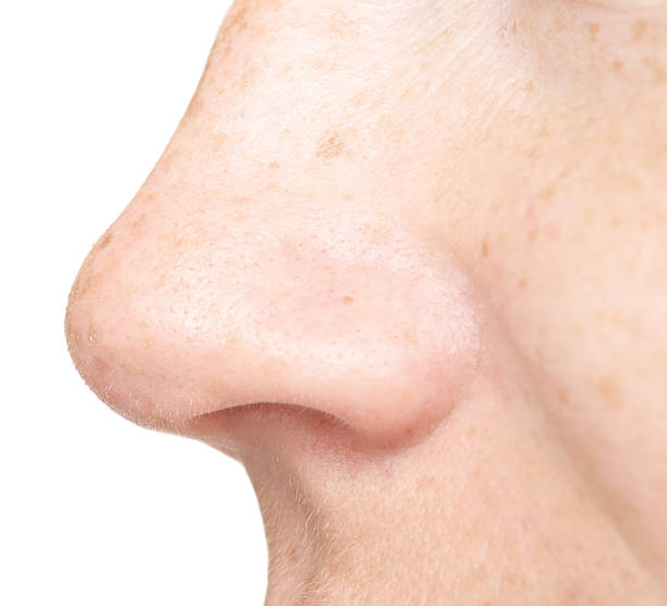 woman nose isolated woman nose isolated on white background human nose stock pictures, royalty-free photos & images