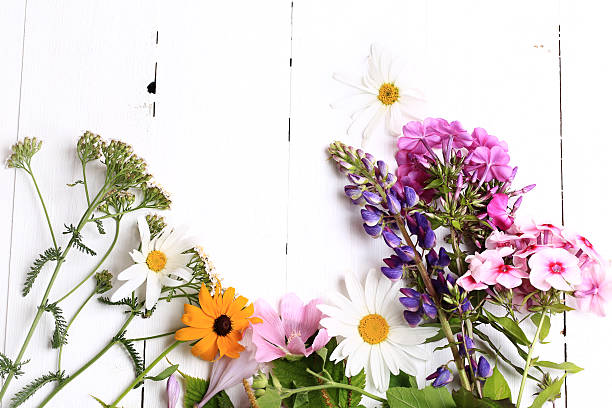 istock summer flowers on a white wooden background 597275192