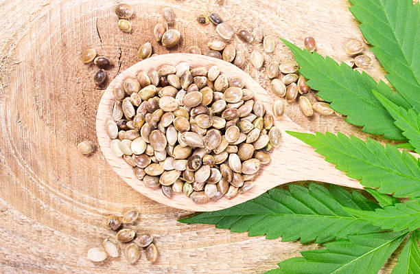 istock Cannabis leaf and seeds on wooden table. Close Up. 597275248