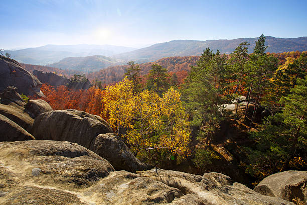 istock Colorful and bright autumn forest 597275544