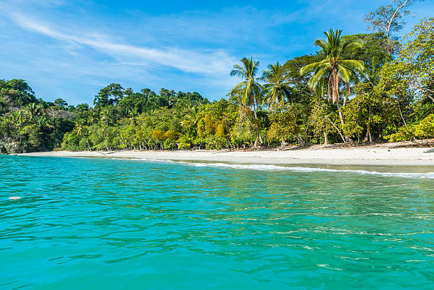 istock Costa Rica - beautiful tropical beach 597275986