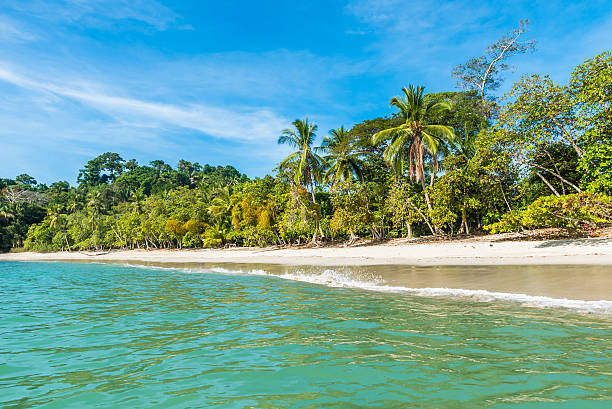 istock Manuel Antonio, Costa Rica - beautiful tropical beach 597276436